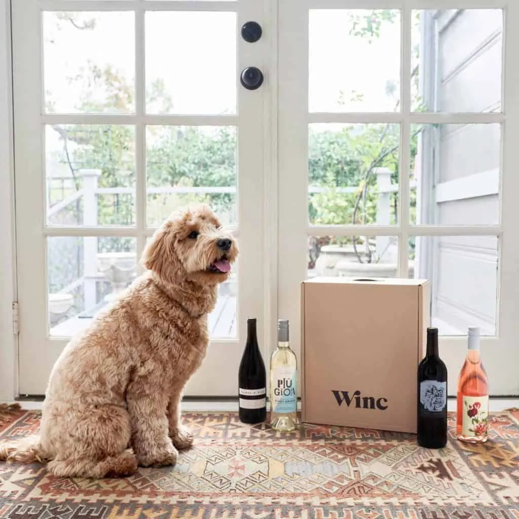9. Wine Tasting Subscription
